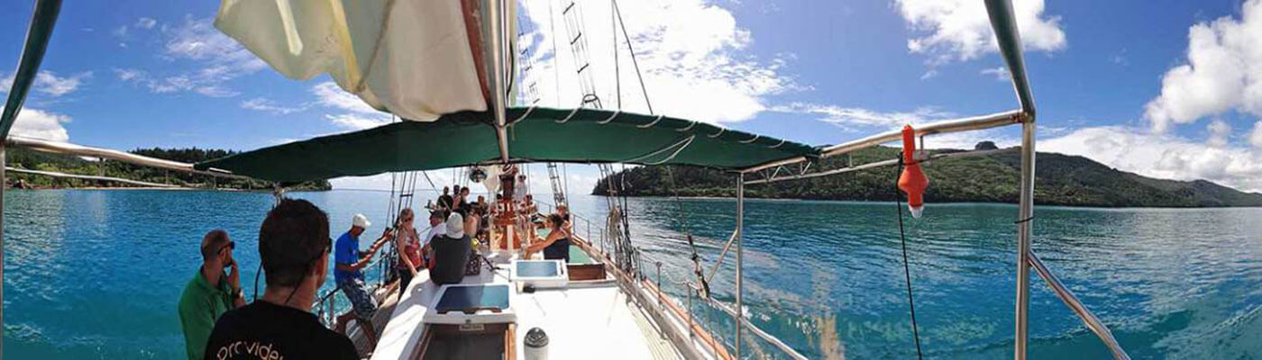 Day Sail with Snorkelling